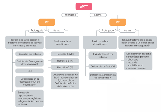 coag-protocol